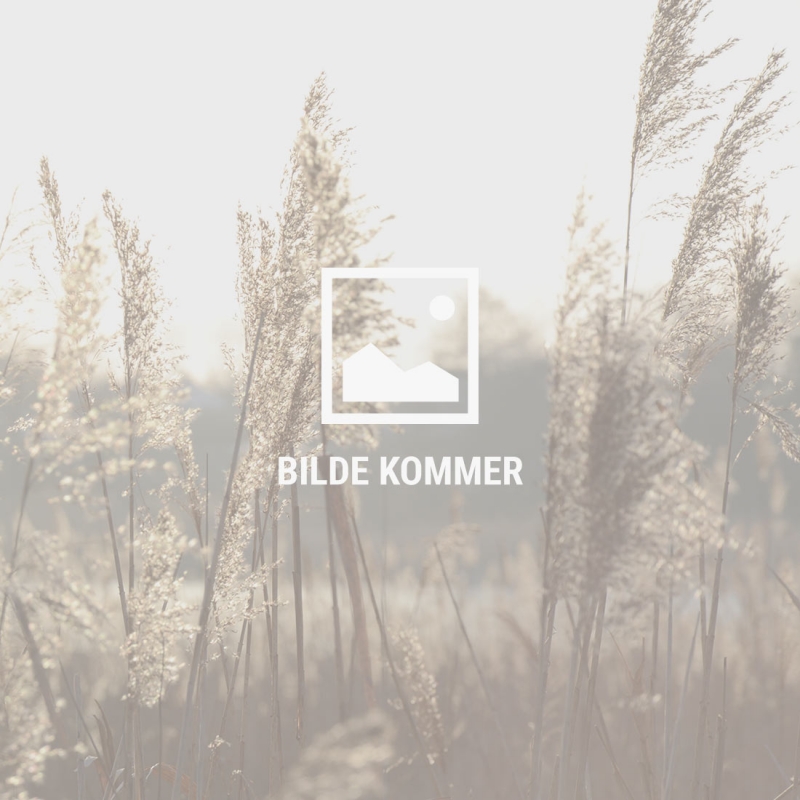 DUMMY-Bilde-Kommer_1100x1100px
